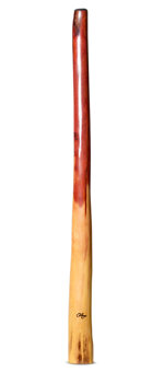Tristan O'Meara Didgeridoo (TM381) 